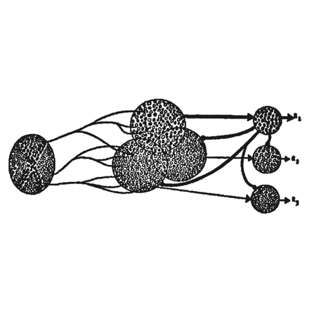 An early perceptron diagram: inputs converging through hidden units to three outputs